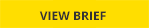 View Brief Button