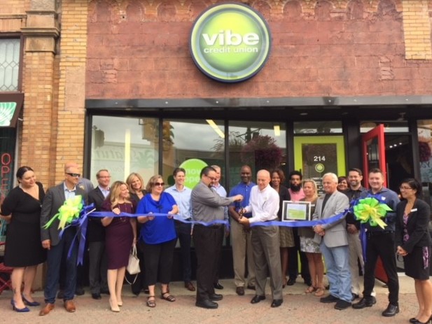 vibe credit union novi