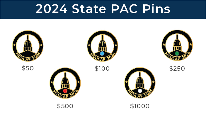 2024 State PAC Lapel Pin  Options