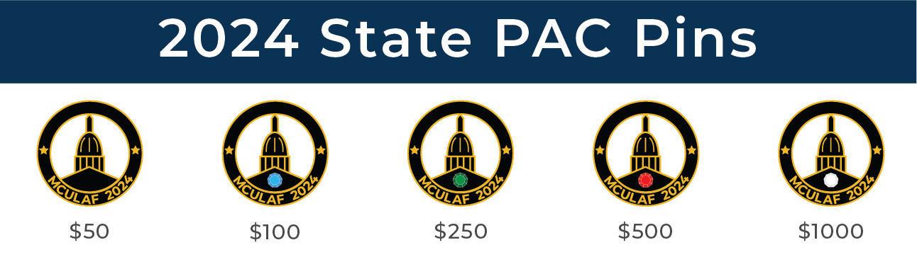 2024 State PAC Pin Designs