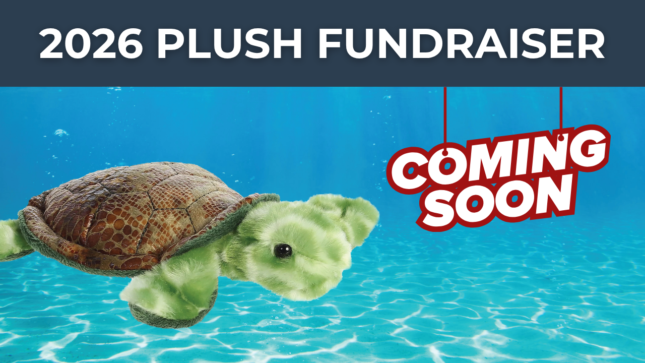 Plush Order