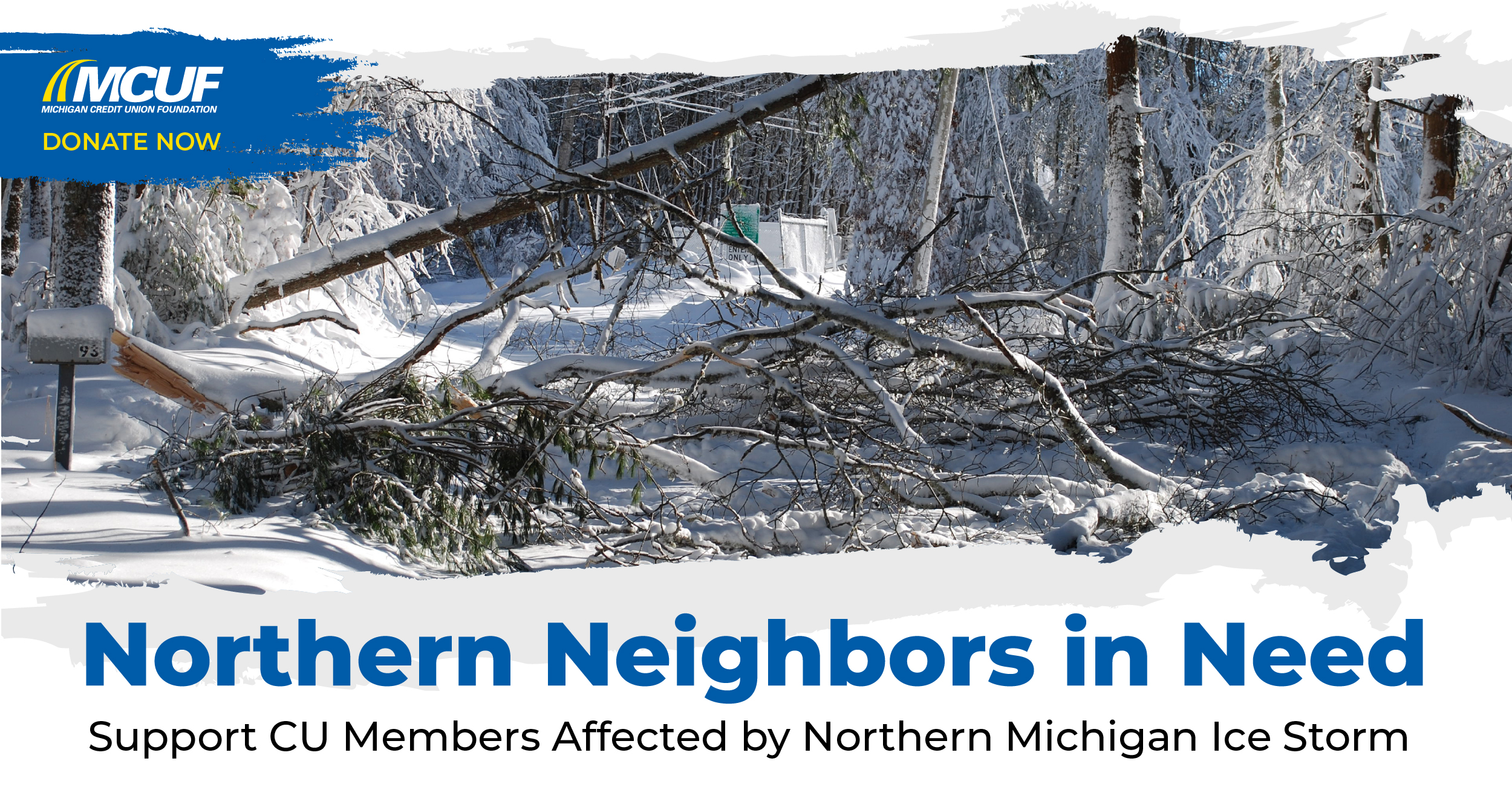 SP Downed Trees